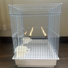 インコゲージの画像