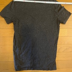 アメリカンイーグル　Tシャツ　Mサイズの画像
