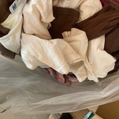 服とズボン他たくさんもらってくれる方の画像
