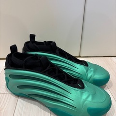 【美品】adidas ハーデン Vol.9 30cmの画像