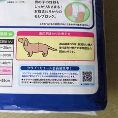 ペット用マナーウェア（Mサイズ）の画像