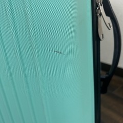 キャリーバッグ(お話し中
)の画像