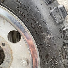 モンキー、ゴリラ、タイヤホイールの画像