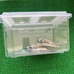 大きな飼育ケース、虫籠の画像