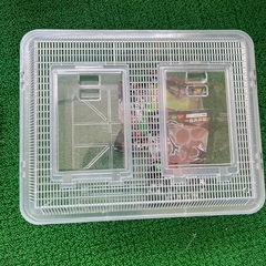 大きな飼育ケース、虫籠の画像