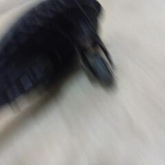 citySurfの画像