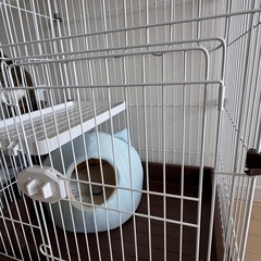 猫用ゲージの画像