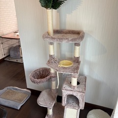 キャットタワー(166cm
)の画像