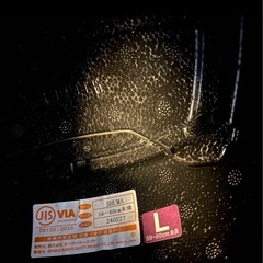 カブト　シューマ　Lサイズの画像