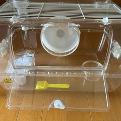 ハムスターケージ、フード、砂、セットの画像