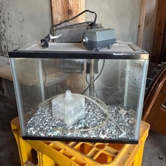 水槽と濾過器セットの画像