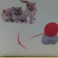 ペット用 ネコ  おもちゃの画像