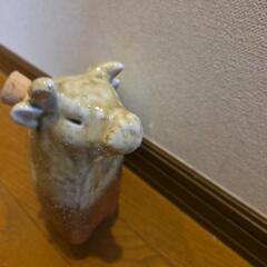 陶器　牛　干支　空ボトルの画像