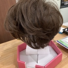 ハイネット hi-net ウイッグ カツラ【D12】の画像