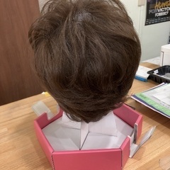 ハイネット hi-net ウイッグ カツラ【D12】の画像