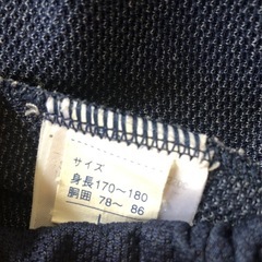 体操ズボンの画像