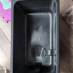 テトラじょうろでキレイメダカ鉢の画像