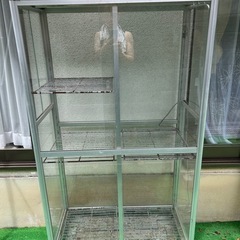 屋外用温室ガラスケースの画像
