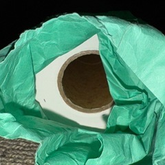 【8/1まで出品】ほぼ未使用紙ロール【A画学紙 厚口 1.100mm x 10m】の画像