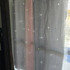 カーテン星の画像