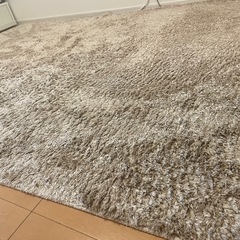 カーペット
の画像
