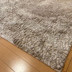 カーペット
の画像