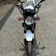 vtz250の画像