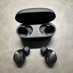 ソニー(SONY)ワイヤレスノイズキャンセリングイヤホン WF-1000XM5 の画像