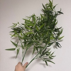 笹竹　組立式200cmと手持ち90cm*２本の画像