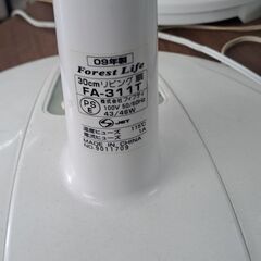リサイクルショップどりーむ天保山店　No2373　扇風機　フィティー　2009年製　お買い得品🎵の画像