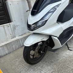 ホンダＰＣＸ　８ＢＪ－ＪＫ０５　２０２３年モデルの画像