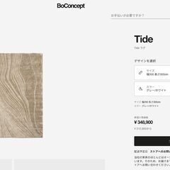 Boconcept ラグ モデルルーム 展示品 Tide 200 x 300 cmの画像