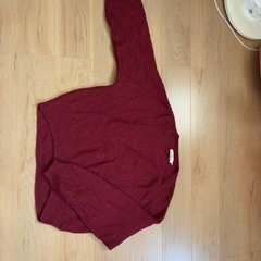 【✨美品&良品✨】大きめLサイズ相当の画像