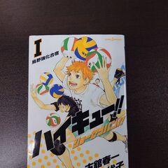 ハイキュー！！全巻のバラ売り。全巻で14000円での販売も可能です。　バラ売りなら、1冊あたり400円です  他の商品とのまとめ買いで割引します　全巻購入の場合、オマケとして、2枚目以降の商品も無料でお付けできますの画像