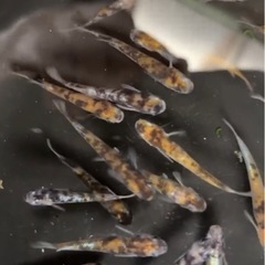 ７月19.20.21の画像