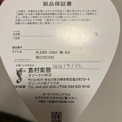 Fender ストラト PLAYER STRAT MN BCRの画像