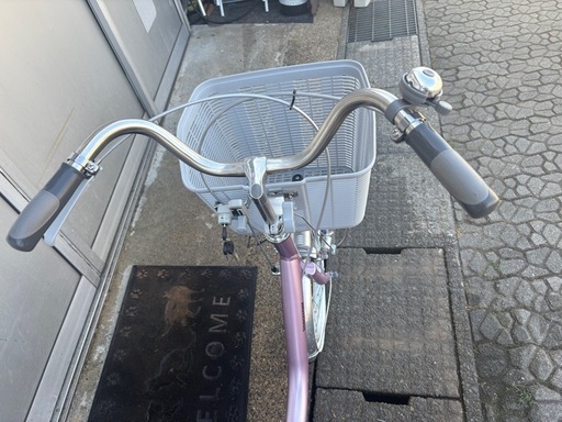 極美品 ブリヂストン ワゴン 3輪車 BW10 シニア