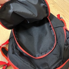 カーズリュックの画像
