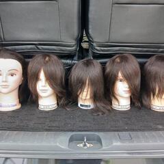 カットマネキンの画像
