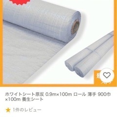 【非対面•未使用】ホワイトシートの画像