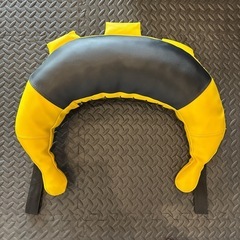 ブラジリアンバッグ 10キロ　10kg ダンベル　筋トレの画像