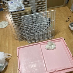 猫用品まとめてお譲りの画像