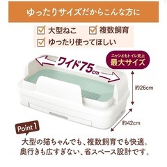 猫用品まとめてお譲りの画像