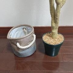 ニトリ フェイクグリーン 観葉植物 インテリアグリーンの画像