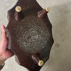生花用②の画像