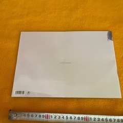 取引中
忍びの国　パンフレットの画像