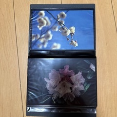 写真の画像