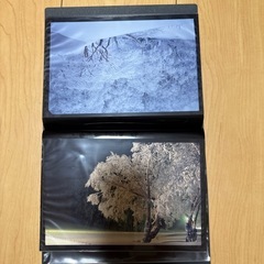 写真の画像