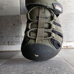 9月削除予定　18cm Colemanサンダルの画像