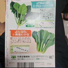 現代農業 柑橘の画像